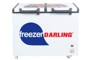 Tủ đông Darling DMF-2999WE 230 lít 2 ngăn