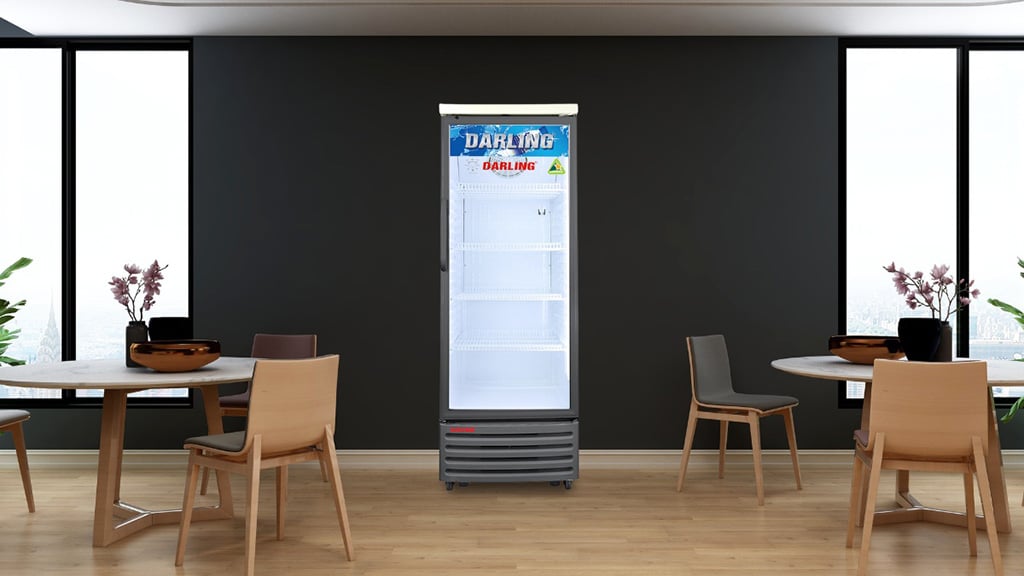 Không gian sử dụng tủ mát Darling Dl-2800A2 280 lít 1 cánh mở